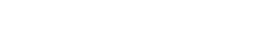 Revue